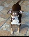 Bella photo 3