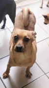 Tinkerbell photo 2