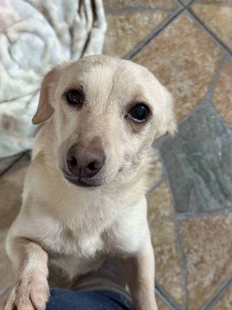 Tina