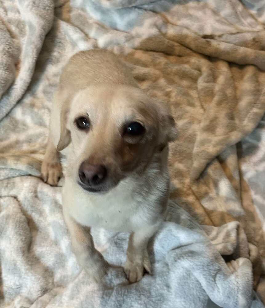 Tina