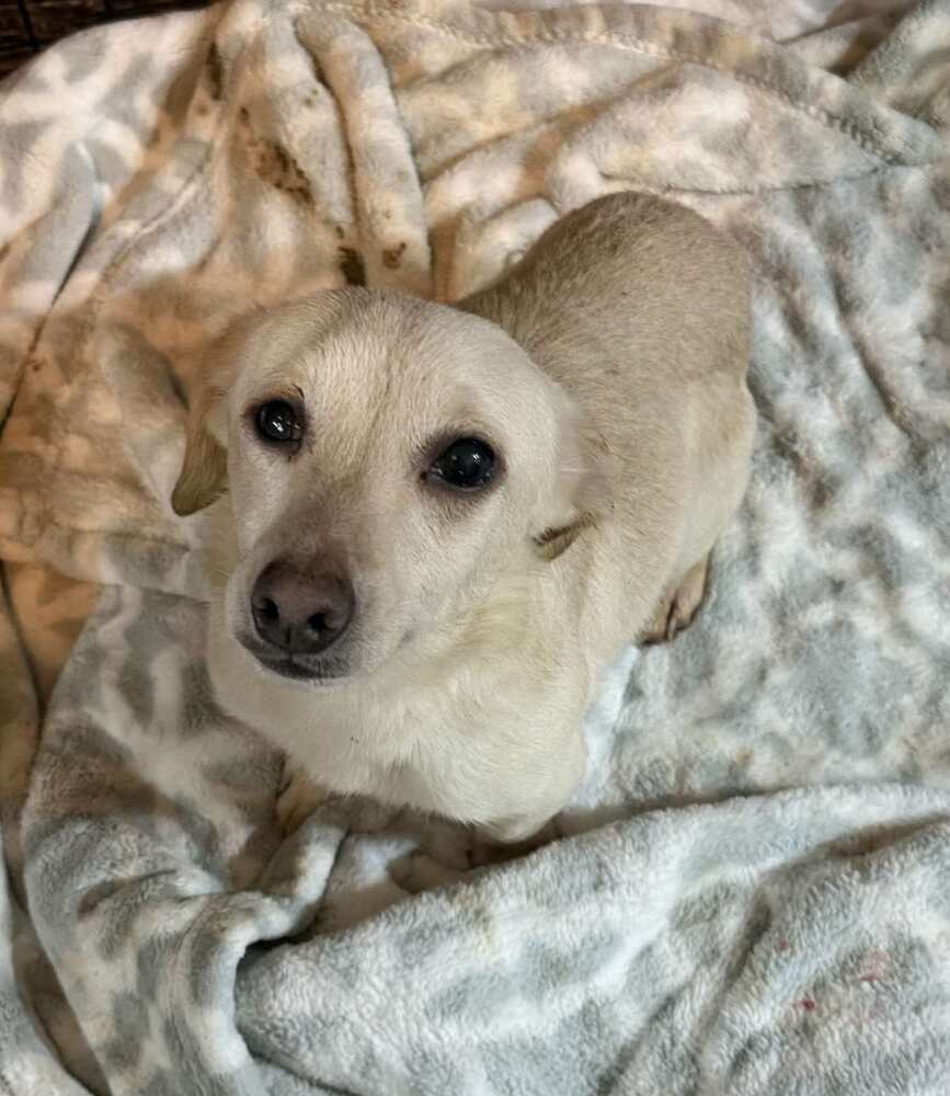 Tina