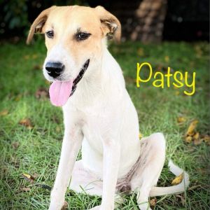 Patsy