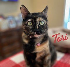 Tori #Eskimo-kisser