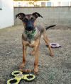 Holes pup: Squid photo 1
