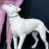 Pinkie/Billy Jean photo 2