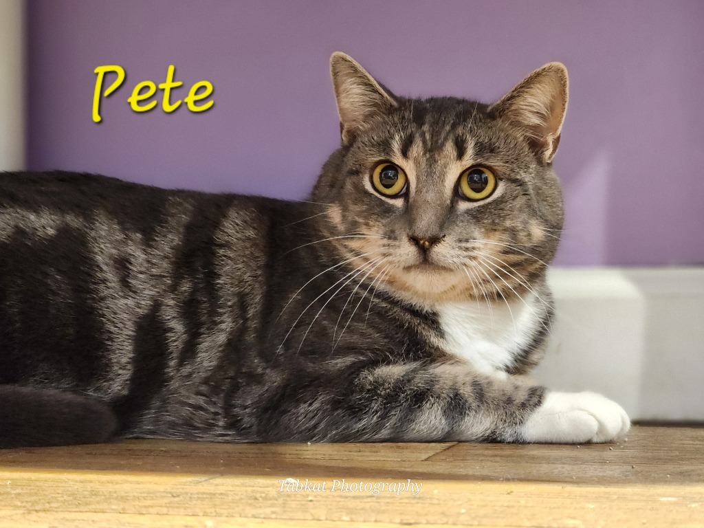 Pete