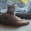 Norbert photo 2