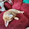 Norbert photo 4