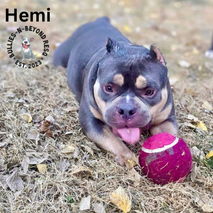 Hemi 4