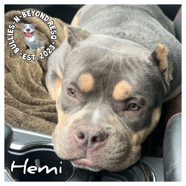 Hemi 5