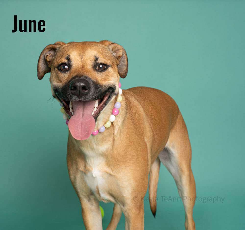 June