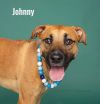 Johnny photo 4