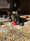 Margo photo 5