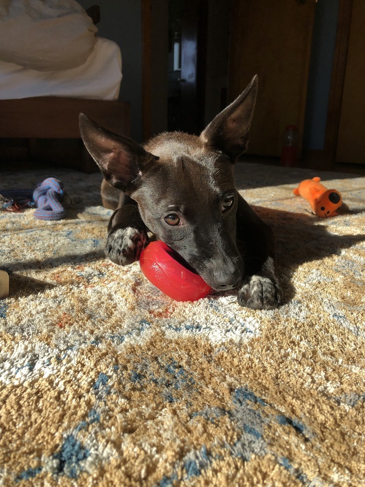 Margo