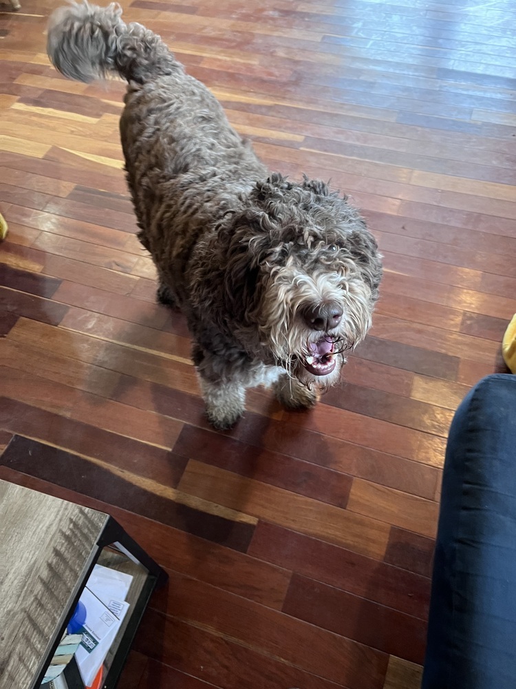 Max / Monsieur LeFloof