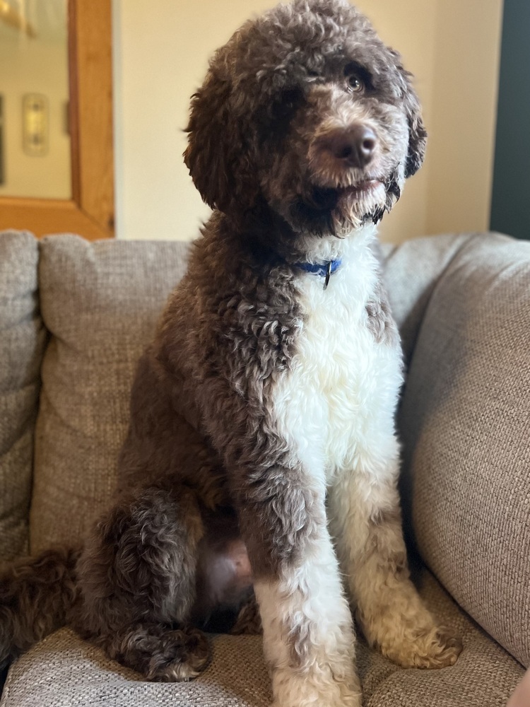 Max / Monsieur LeFloof