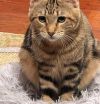 Fonzie photo 5