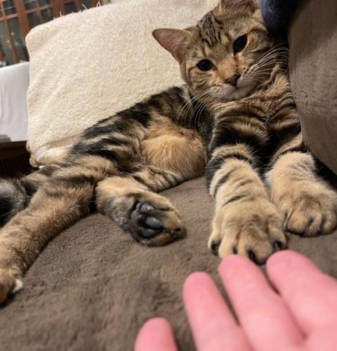 Fonzie 6