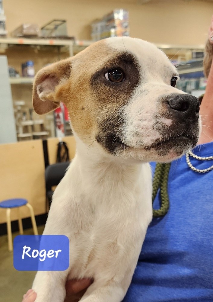 Roger
