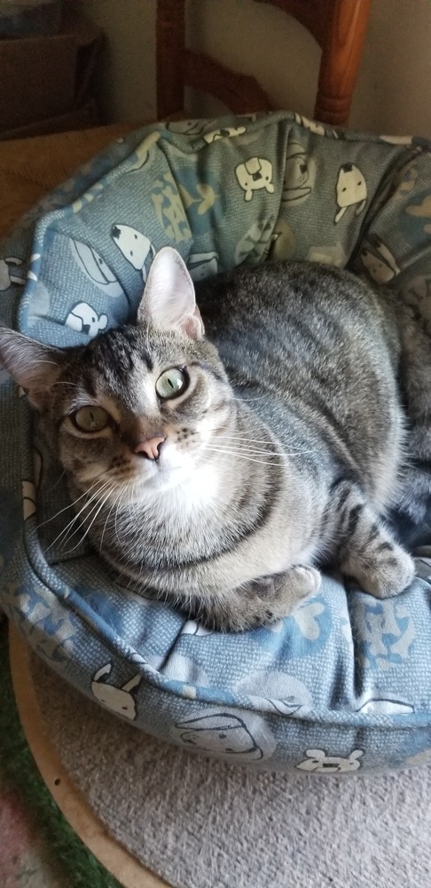 Molly