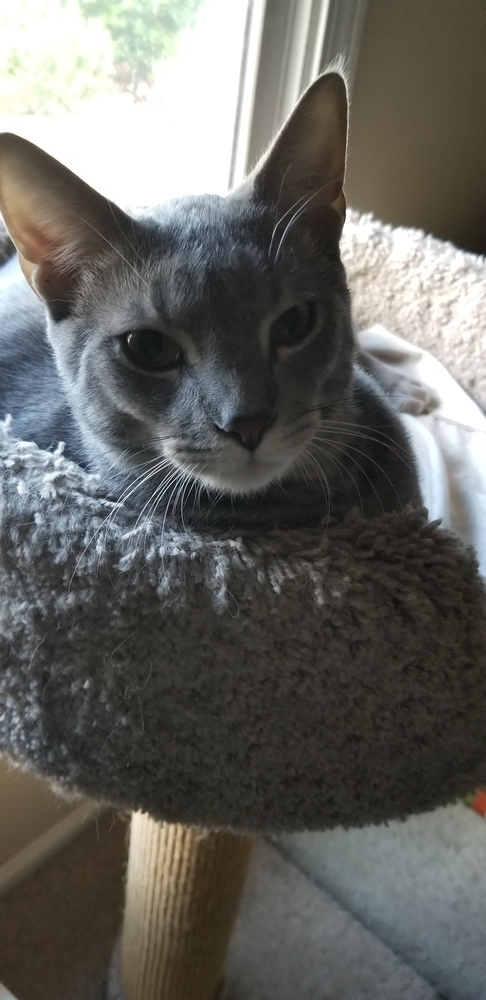 Casper