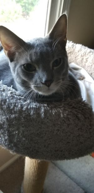Casper