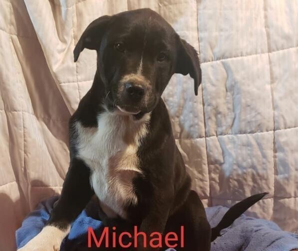 Michael