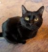 Momma Penelope photo 1
