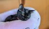 Momma Penelope photo 2