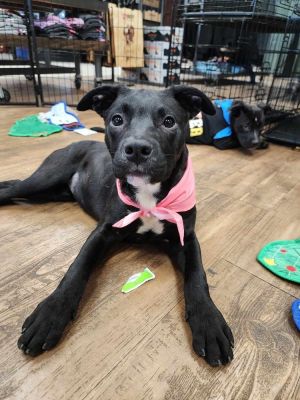 Delilah