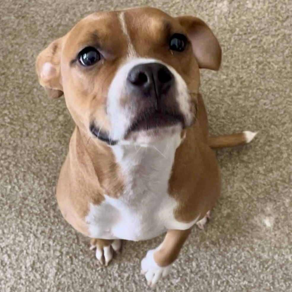 Winnie