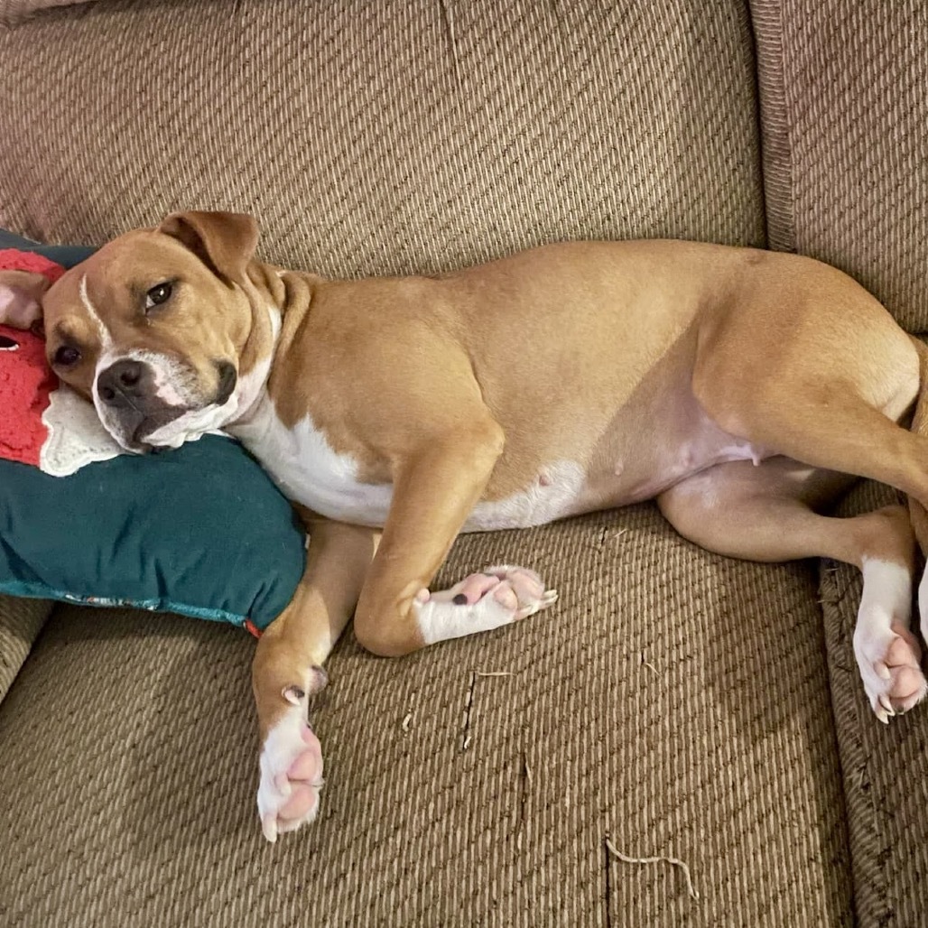 Winnie