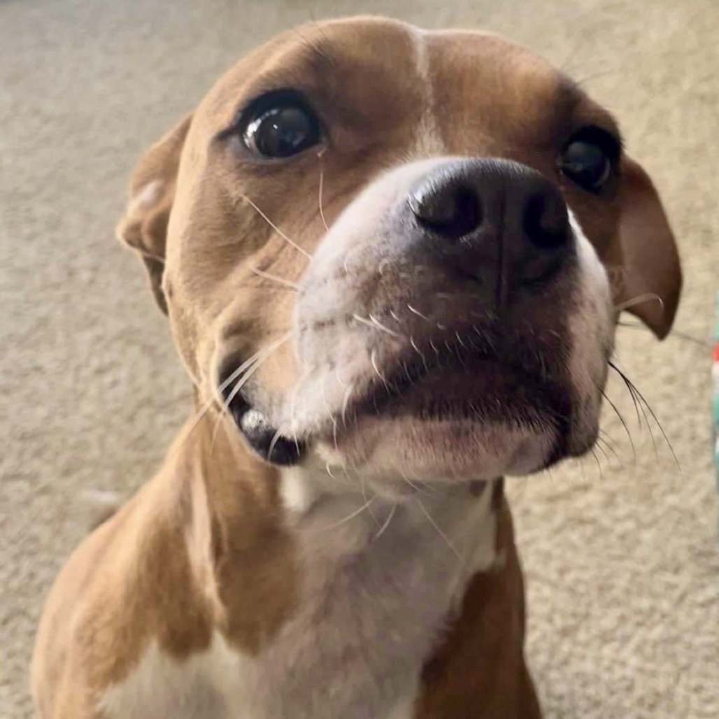 Winnie