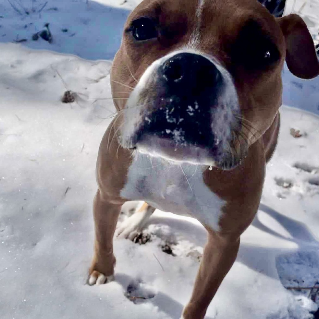 Winnie