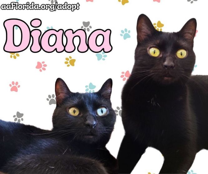 Diana