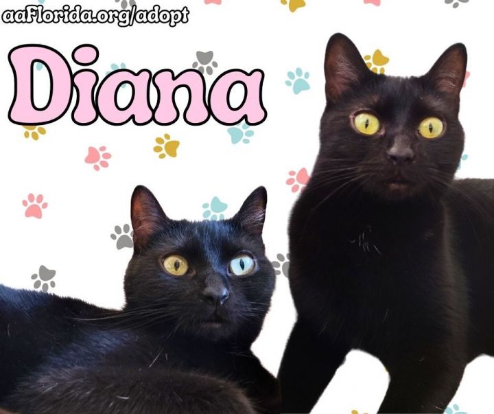 Diana 1