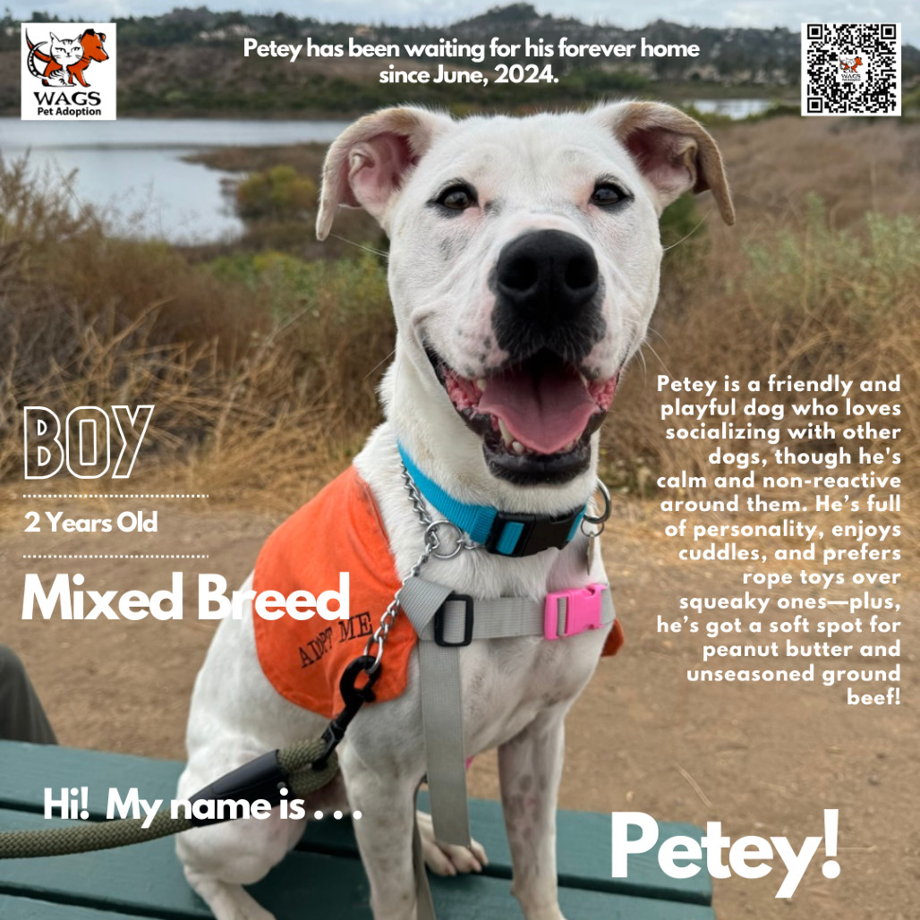 Petey