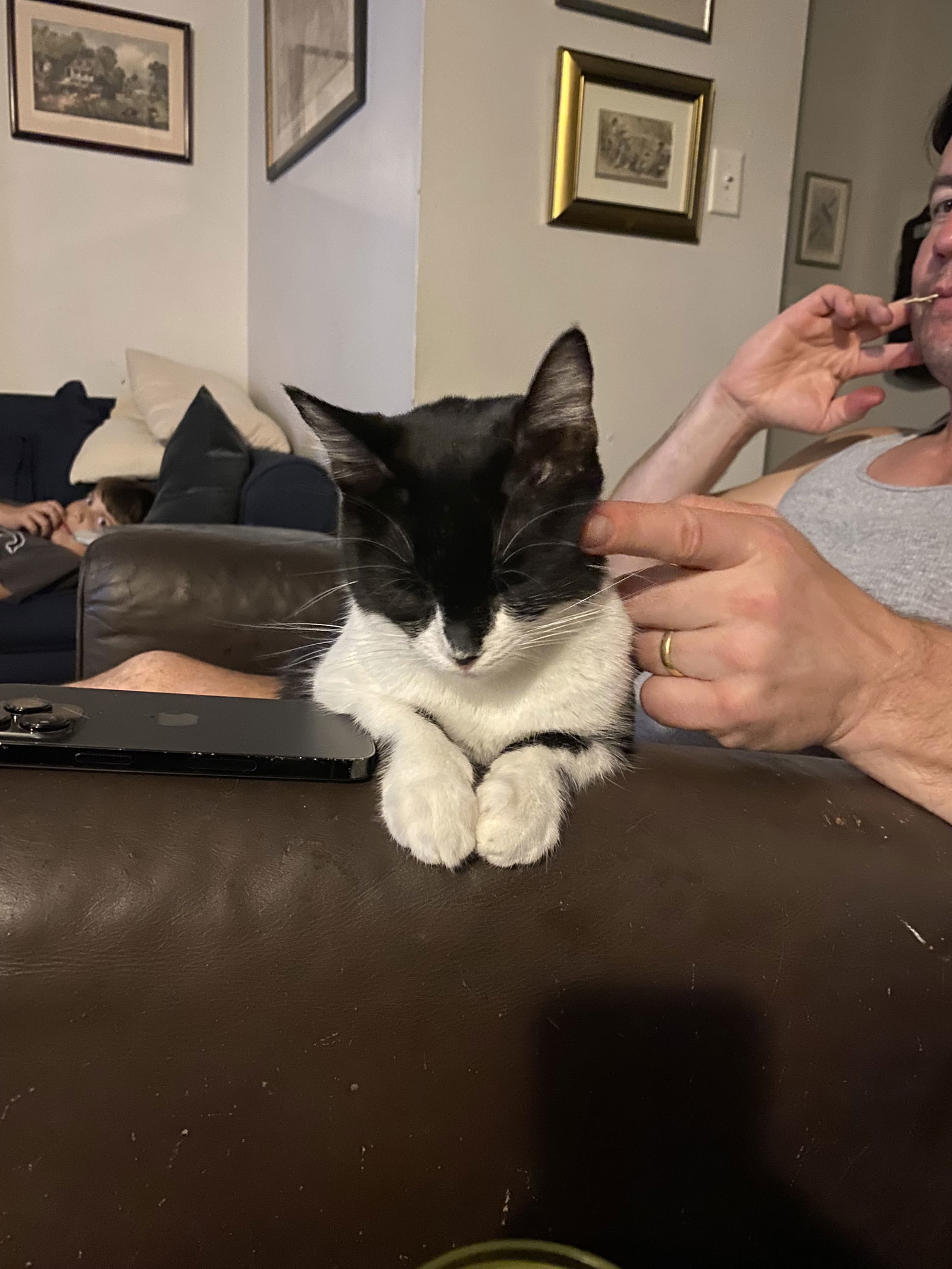 Bandit