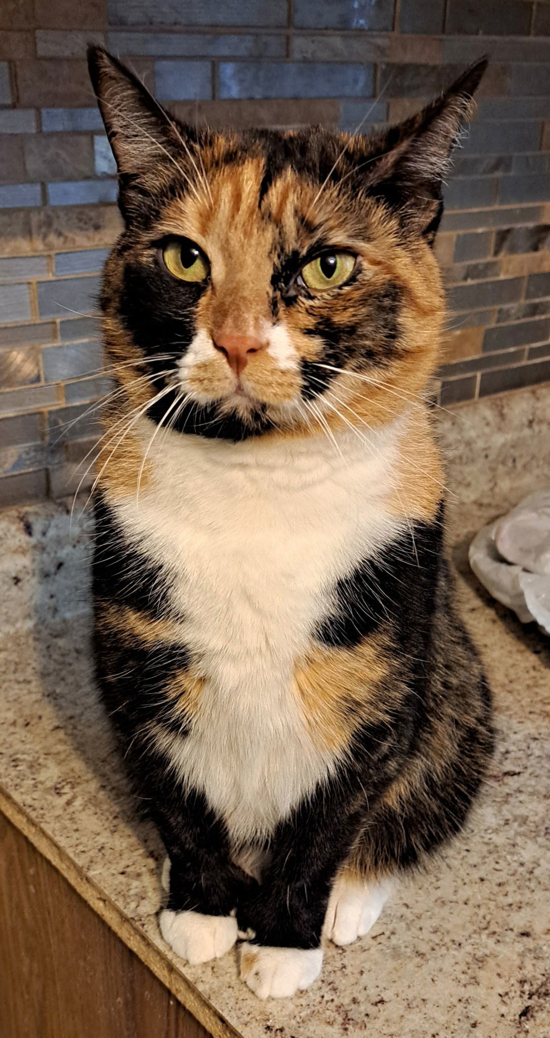 Acme with extra toes!