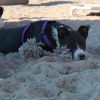 Hailey photo 6