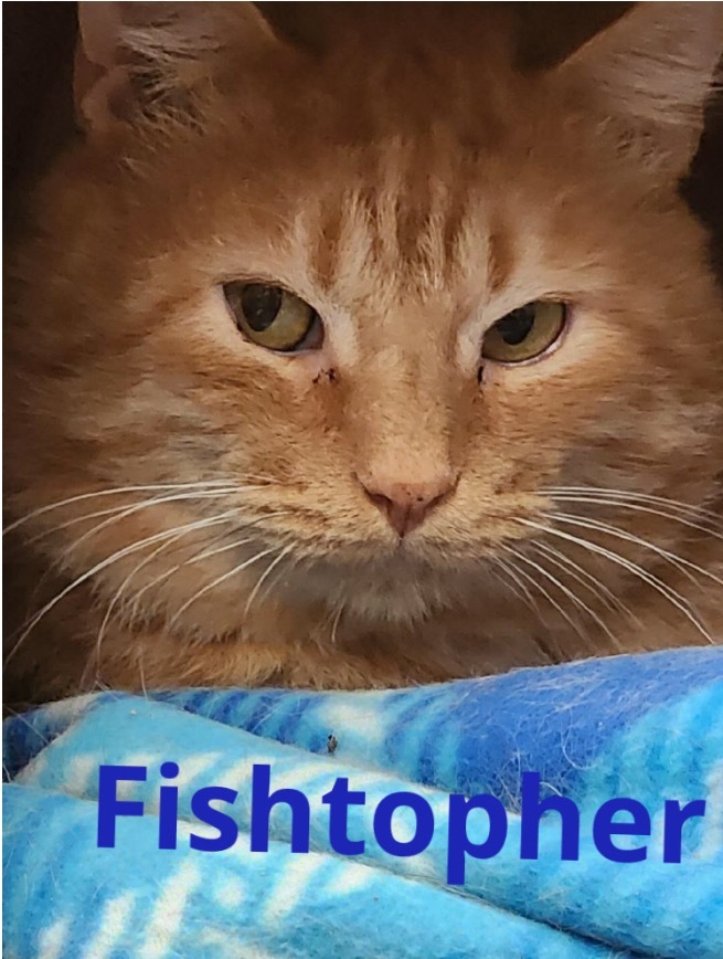 FISHTOPHER