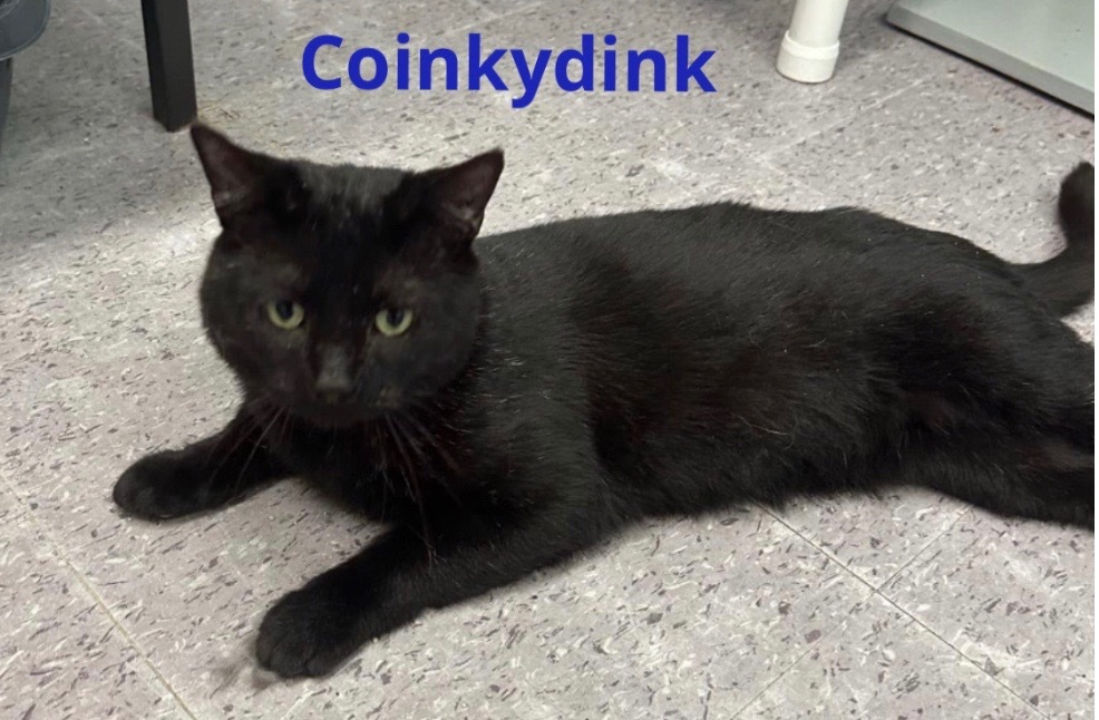 COINKYDINK