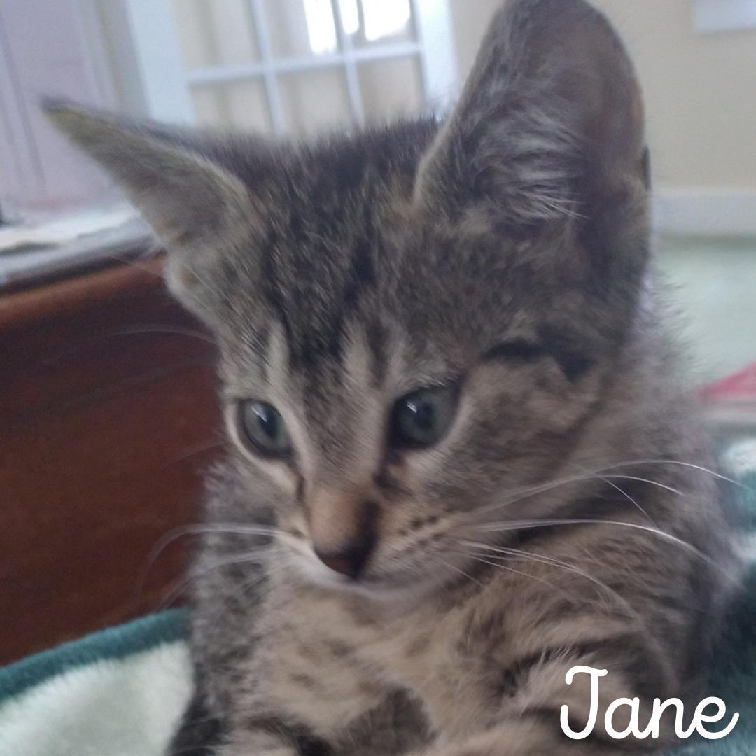 Jane