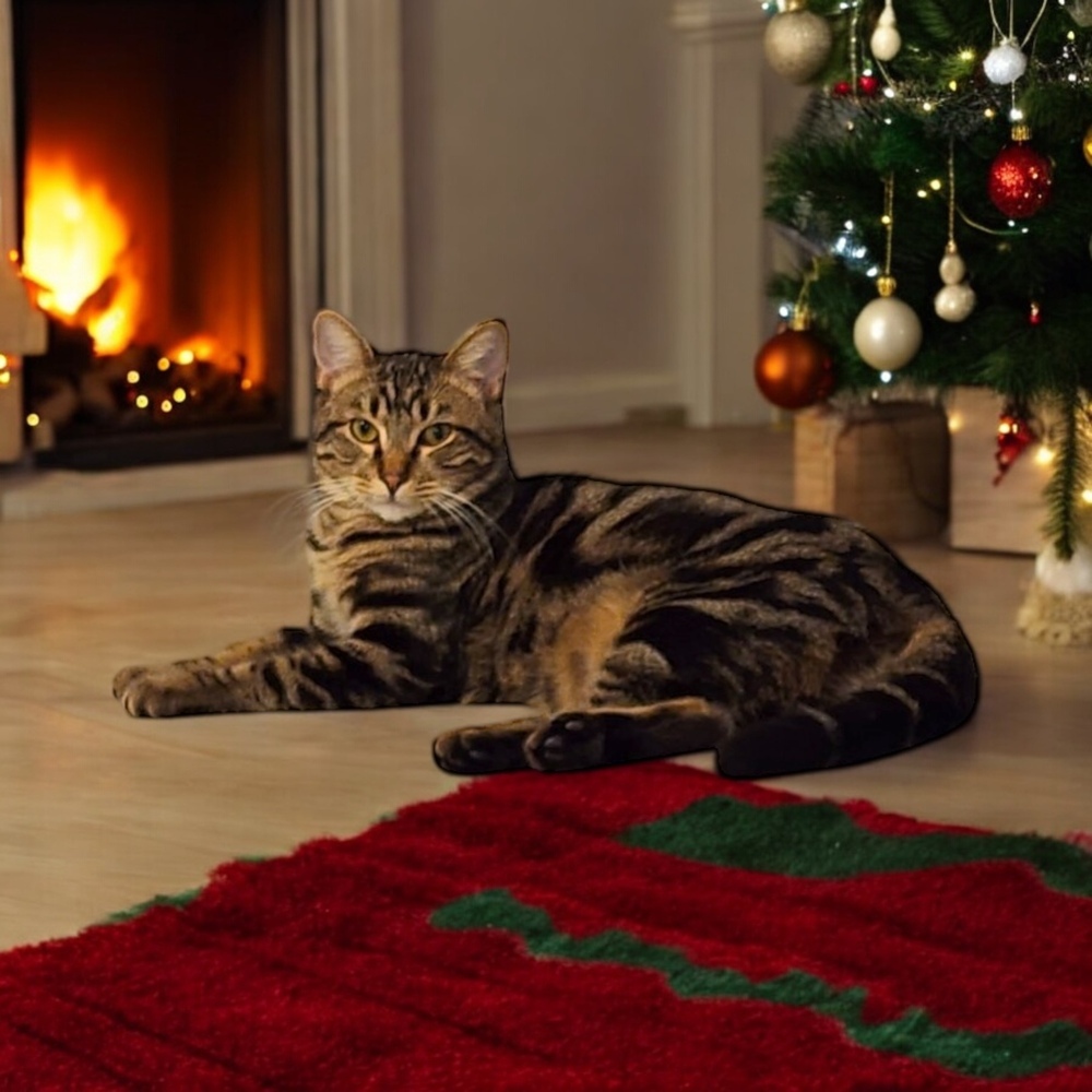 Rikki Tikki Tabby