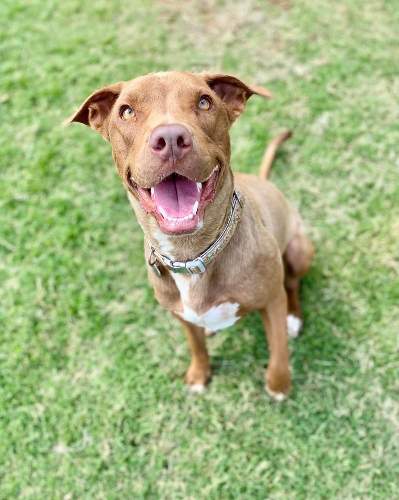 Reba Crossposted