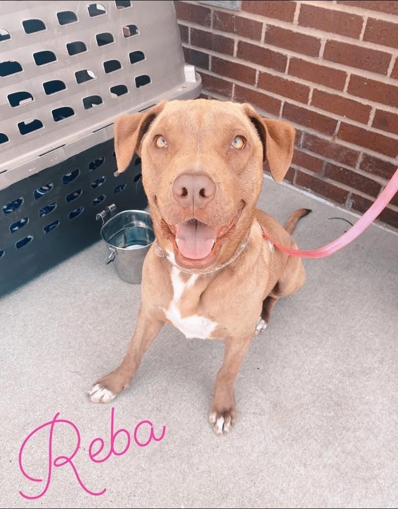 Reba Crossposted