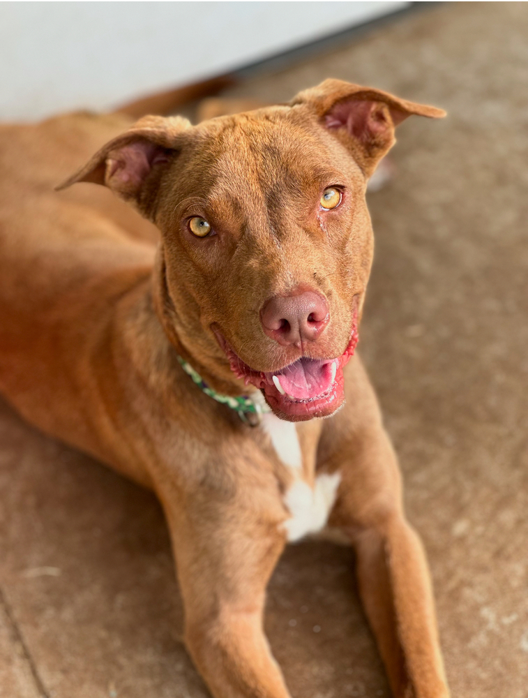 Reba Crossposted
