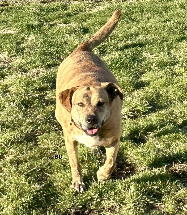 Winifred "Winnie"