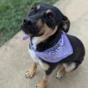 Ainsley 3395 photo 1