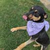 Ainsley 3395 photo 2